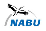 Nabu
